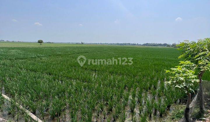 Di Jual Tanah SHM Tanpa Perantara Dibekasi, Cocok Untuk Usaha Sawah Dan Perternakan Ayam 1