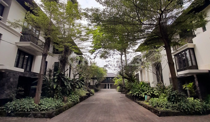 For Rent. Balinese Modern Houses Compound in Pejaten Barat, Kemang. Must See.