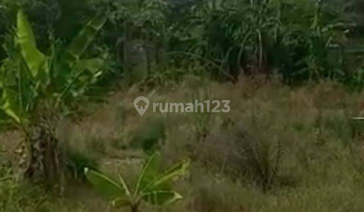 Dijual Tanah di Karawang Timur SHM Lt 63 Ha Jawa Barat 2