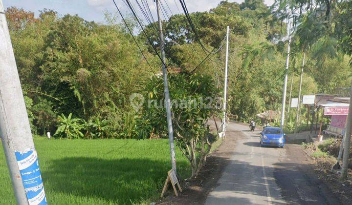 Land for rent on the main road of Sempol Pererenan Mengwi Badung 1