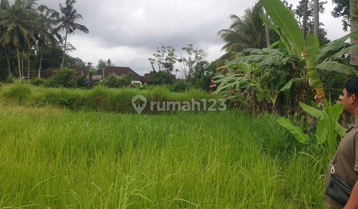 Dijual tanah jalan utama lokasi pejeng kaja tampaksiring 2