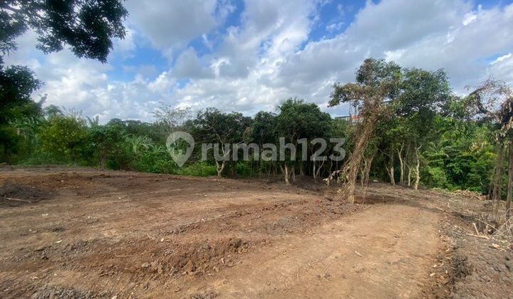 Dijual Tanah Lokasi Nyanyi Beraban Kediri Tabanan
