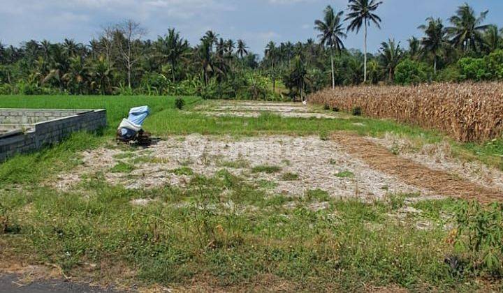 For sale land los river location pasut tibu biyu tabanan 2