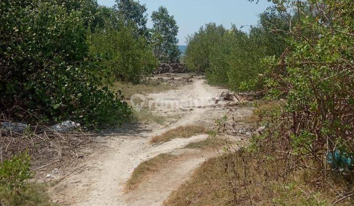 Dijual tanah los pantai lokasi pejarakan gerokgak bulelelng 1