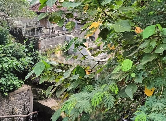 Dijual Tanah Los Sungai Lokasi Lodtunduh Ubud Gianyar 