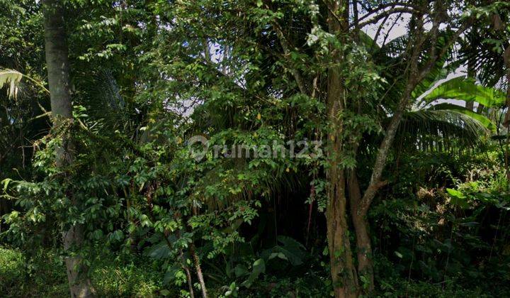 Dijual Tanah Lokasi Pejeng Tampaksiring Gianyar Bali 2