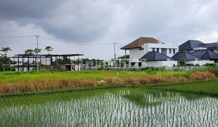 Dijual Tanah Pusat Pariwisata Lokasi Jalan Pantai Berawa Dijual Tanah Pusat Pariwisata Lokasi Jalan Pantai Berawa