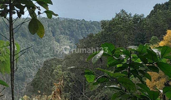 Land for sale in Gesing Banjar Munduk Buleleng Bali 1