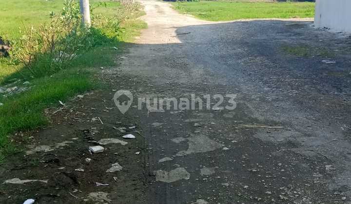 Dijual Tanah Los Pantai Lokasi Jalan Pantai Saba Gianyar