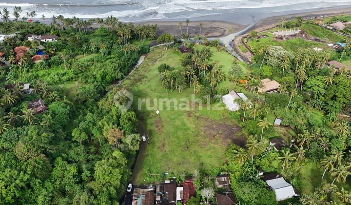 Dijual Tanah Kavlingan Murah Lokasi Dekat Pantai Balian Beach Dijual Tanah Kavlingan Murah Lokasi Dekat Pantai Balian Beach