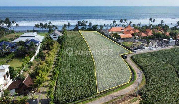 Beach land for sale located in Tibu Biu Pasut, Tabanan Bali 1