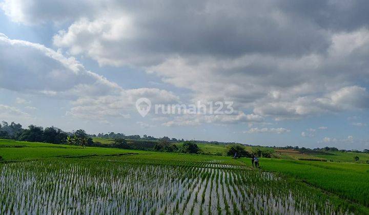 Dijual tanah lokasi kelating tabanan bali 1