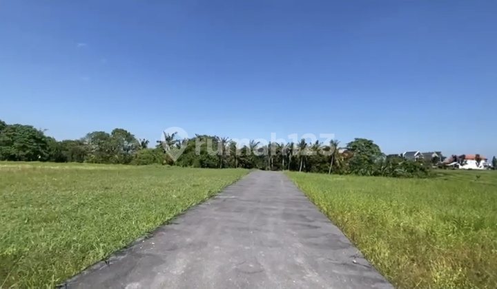 For Sale Land Location Kedungu Belalang Tabanan Bali