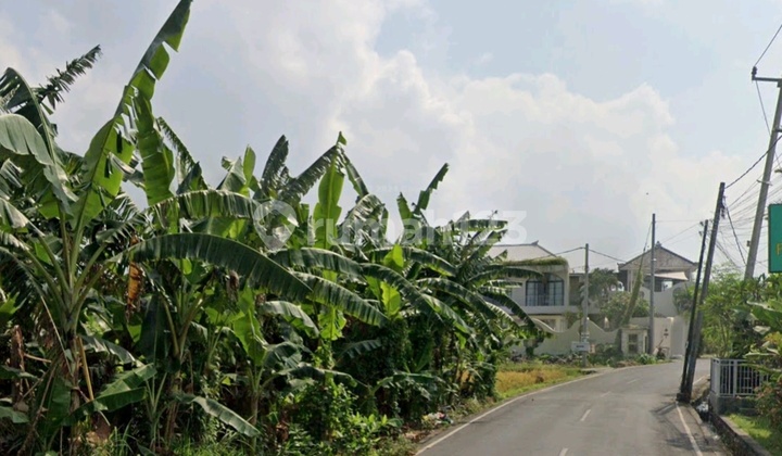 Dijual Tanah Lokasi Jalan Subak Daksina Babakan Canggu Kuta Utara Dijual Tanah Lokasi Jalan Subak Daksina Babakan Canggu Kuta Utara