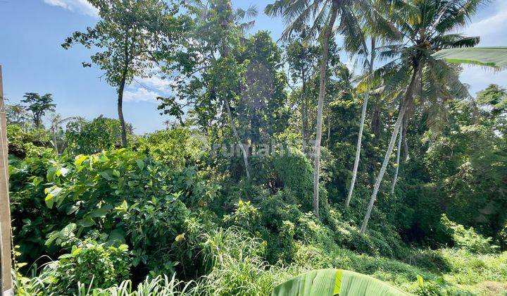 Disewakan Tanah Los Sungai Lokasi Buwit Tabanan Bali 2