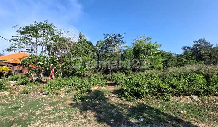 Dijual Tanah Lokasi Pecatu Kuta Selatan Badung