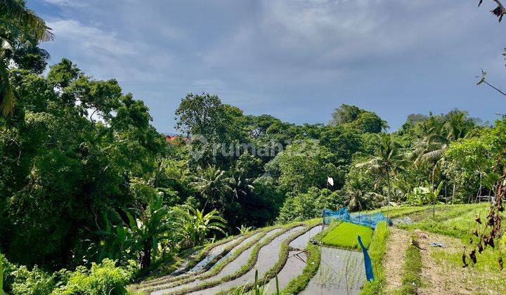 Disewakan Tanah Los Sungai Lokasi Buwit Tabanan Bali 1