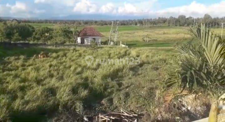 Dijual tanah los pantai lokasi beraban tabanan bali
 2