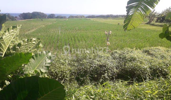 Beach land for sale in Pasut Tabanan Bali
 1