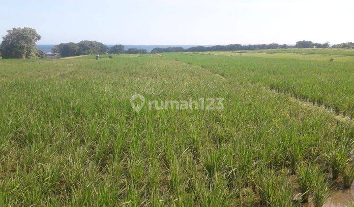 Beach land for sale in Pasut Tabanan Bali
 2