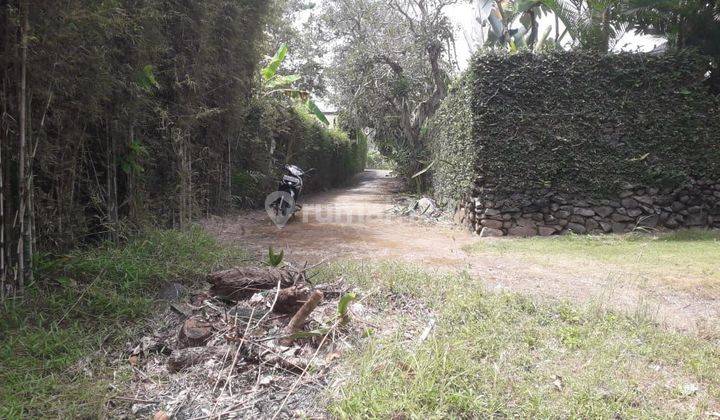 Land for sale in Pasut Tibubiu, Tabanan, Bali 2