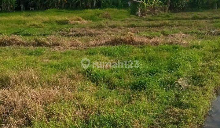 Dijual tanah lokasi kuwum krobokan kuta utara 1