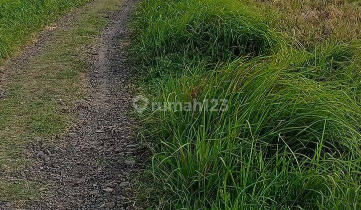 Dijual tanah los pantai lokasi beraban selemadeg timur tabanan 
 1