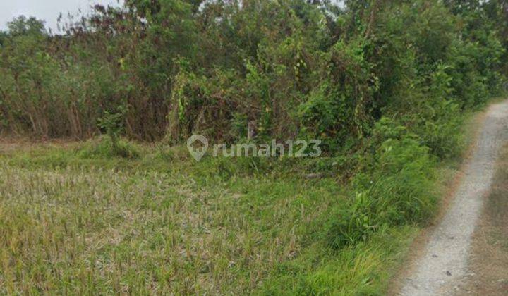 Land for sale near the beach, located on beach road, siyut gianyar  1