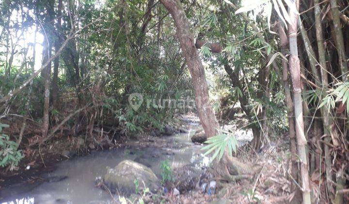 Dijual tanah los pantai lokasi lalang lingah tabanan
 2