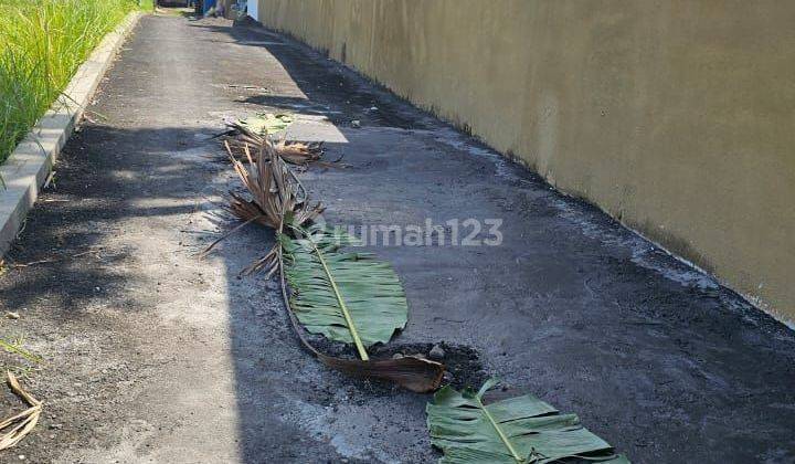 Dijual tanah lokasi pantai nyanyi kediri tabanan
 1