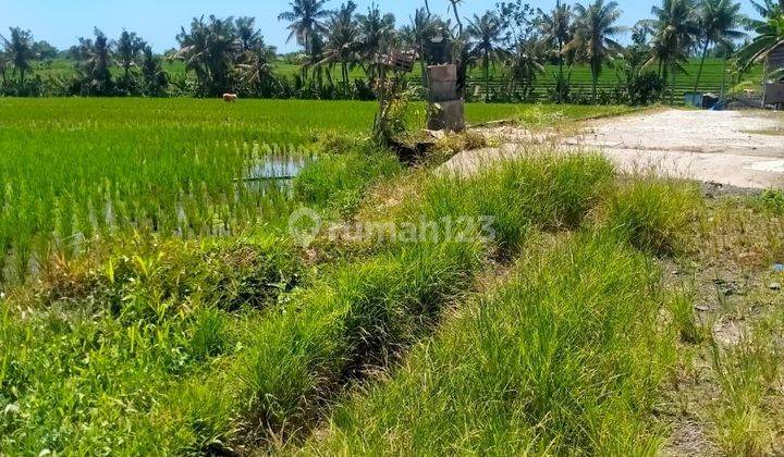 Dijual tanah lokasi nyanyi beraban tabanan bali 1