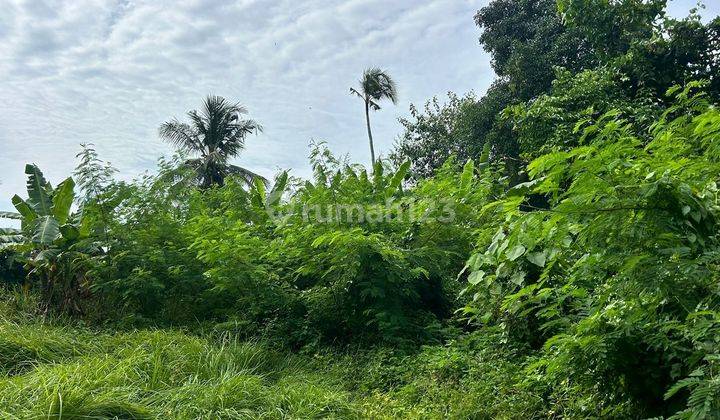 Dijual tanah lokasi nyanyi beraban kediri tabanan 1