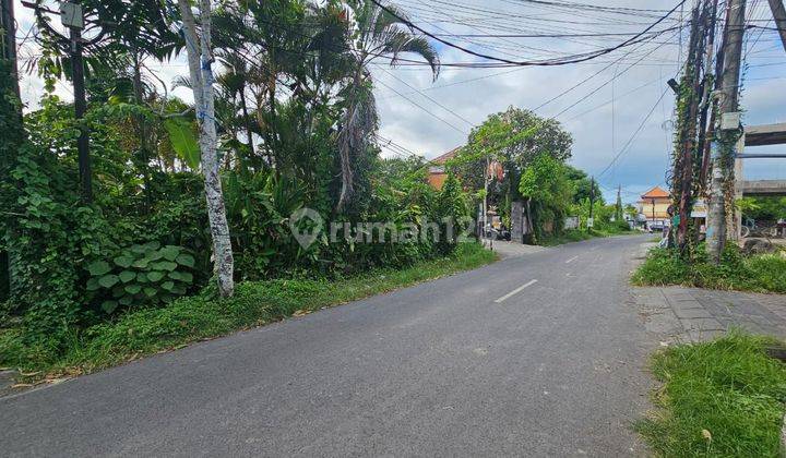 For sale land located in tegal cupek umalas kerobokan badung 1