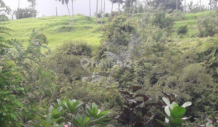 Land for sale at the location of Lodtunduh Ubud, Gianyar, Bali 2