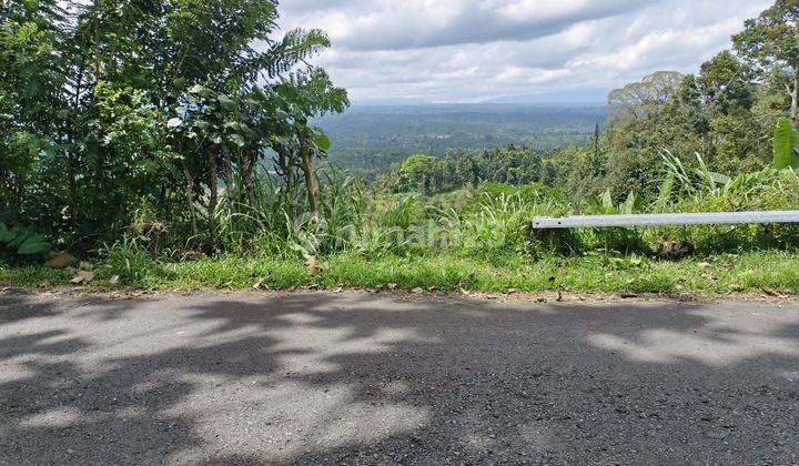 Dijual tanah view lembah lokasi sulangai petang badung 1