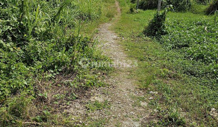 Dijual tanah lokasi nyanyi beraban kediri tabanan 1