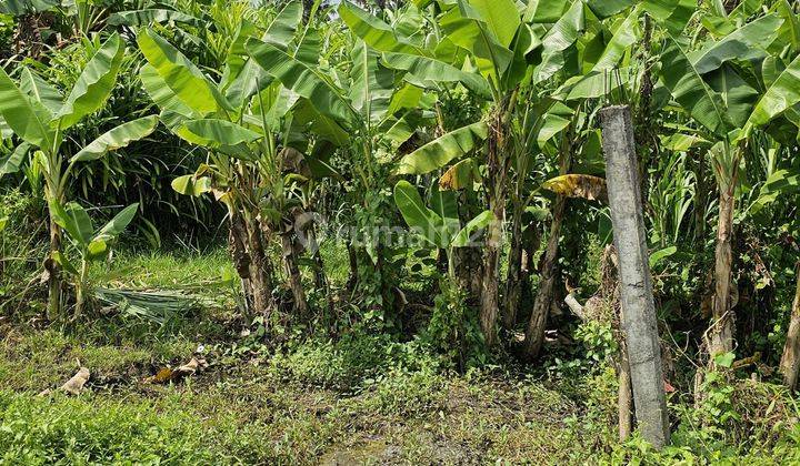 Dijual tanah lokasi nyanyi beraban kediri tabanan 2