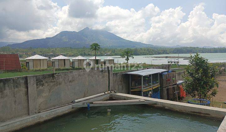 Land for sale at Lake Batur, Kedisan Kintamani 1