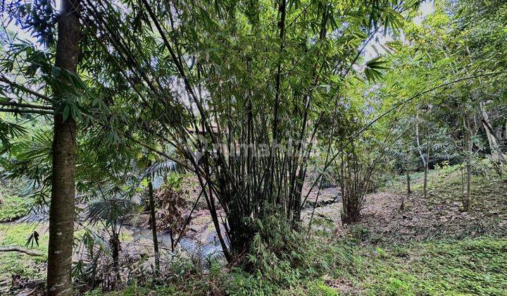 Dijual tanah langsung sungai lokasi tumbak bayuh pererenan 1