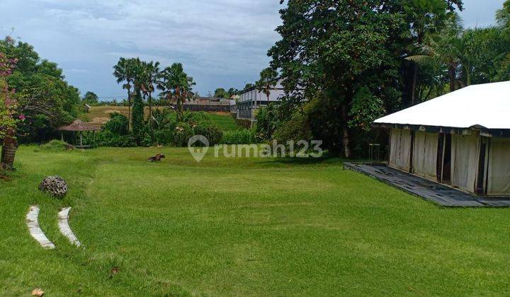 Dijual villa lokasi bumbak umalas kerobokan badung 1