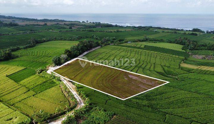 Land for sale at the tidal kerambitan location in Tabanan Bali 1