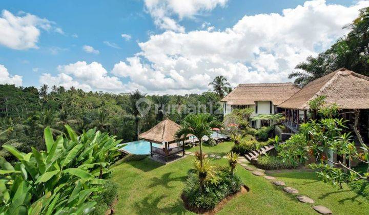 Jungle view villa for sale, Payagan Gianyar location  2