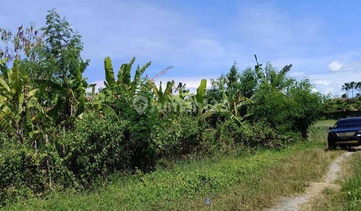 Land for sale at the Labasari Kerobokan Kelod location near Seminyak 1