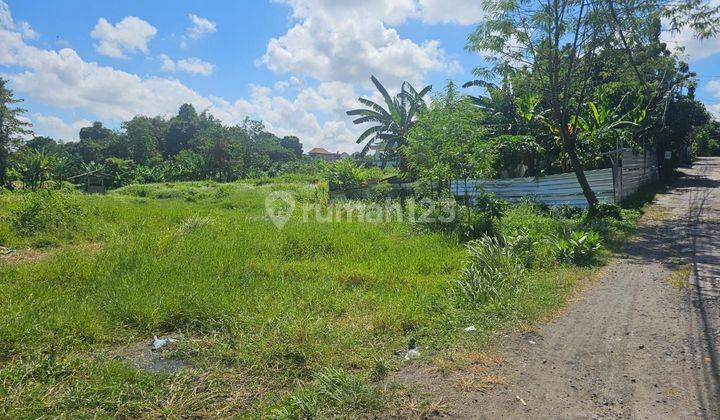 Dijual tanah / disewakan lokasi kesambi kerobokan kuta utara 2