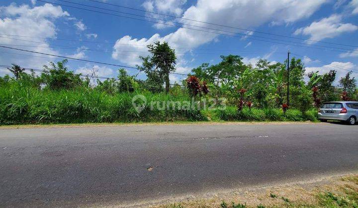 Dijual tanah pinggir jalan utama lokasi sidan petang badung 1