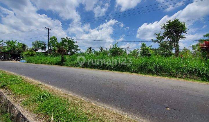 Dijual tanah pinggir jalan utama lokasi sidan petang badung 2