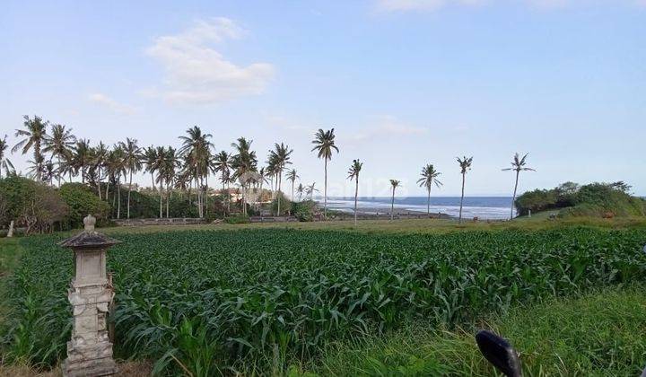 Land for sale at the beach area in Beraban, Tabanan, Bali 2