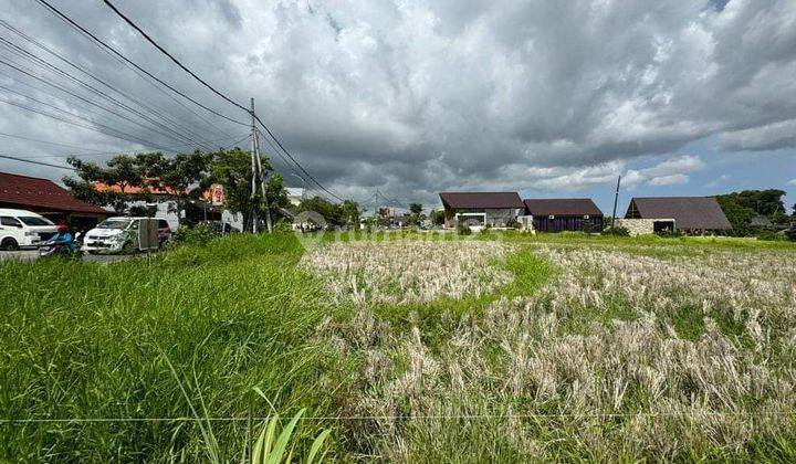 Land for rent located on Batu Mejan Canggu beach road 1