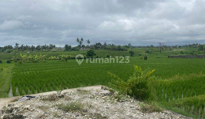 Dijual tanah view sawah lokasi nyanyi beraban tabanan 1