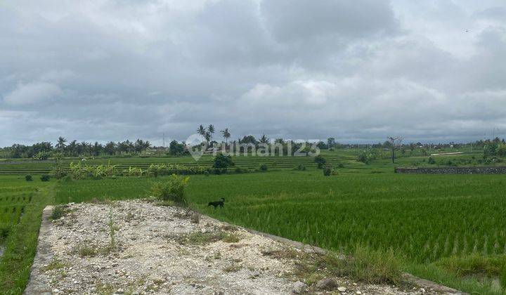 Dijual tanah view sawah lokasi nyanyi beraban tabanan 2